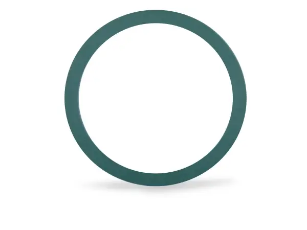 BioGasket.jpg