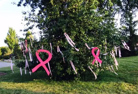 General_Filters_Supporting_The_Walk_for_Breast_Cancer.jpg